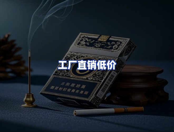 专业团队